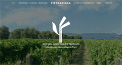 Desktop Screenshot of pietrapinta.com