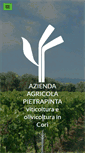 Mobile Screenshot of pietrapinta.com